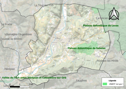 Carte des ZNIEFF de type 1 sur la commune.