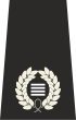 Special Constabulary Chief Officer Insignia