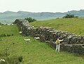 Hadrianmuren nær Birdoswald Fort, kalla Banna av romarane, med ein mann som sprayer ugrasmiddel for å redusera den biologiske nedbrytinga av steinane.