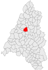 Location in Bihor County