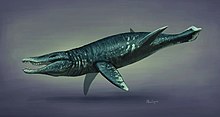 Pliosaurus restoration 2019.jpg