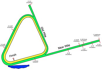 アスコット競馬場のコース概略図