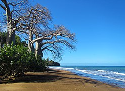 Plage de Sakouli.