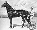 Undefeated trotter Dan Patch