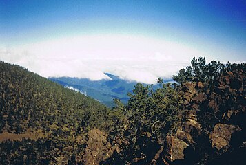 The summit of Pico Duarte in the Dominican Republic on Hispaniola is the highest point in the Caribbean.