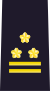 Colonel