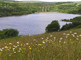 A lake surrounded by fields and trees, with a railway viaduct in the distance