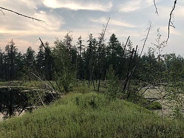 Twee thermokarst meren in Centraal Jakoetië