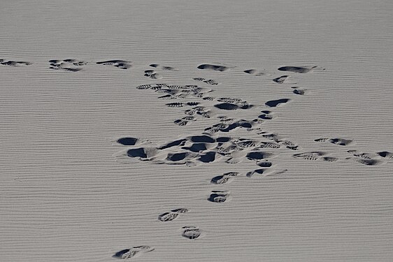 Footprints of shoes on grey sand of Bruneau Sand Dunes, Idaho, USA