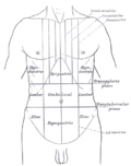 Thumbnail for Abdominal pain