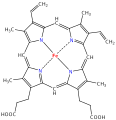 Heme group of hemoglobin with a porphin macrocycle.