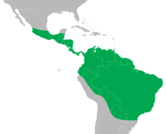 Distribuição da iguana-verde