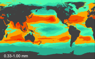 Model results for the count density of small planktonic plastic particles[39] Red: more dense Green: less dense