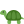 🐢