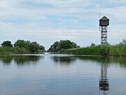 Bird watching tower in Crișan