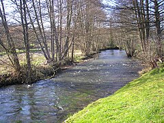 L'Orbiquet au Mesnil-Guillaume.