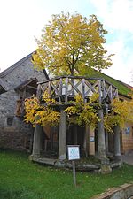 Tilleul de danse à Langenstadt (de).