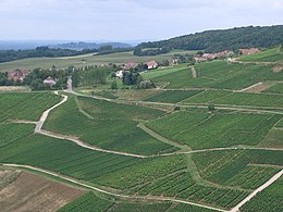 Menétru-le-vignoble depuis Château-Chalon.jpg