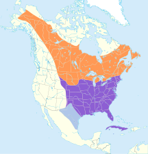 Range of yellow-shafted group