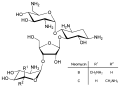 Neomicine B, C