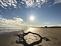 Strand im Winter