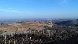 Skyline of Chiroubles