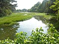 Le fond de la ria du Minaouët à marée haute vu du pont de la D 783.