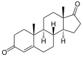 Androstènedione.