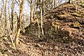 The Ruin of Castle Wiesbach