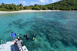 Buceadores en Culebra