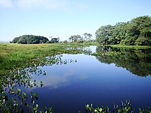 Lagoa Saraiva localizada no Parque Nacional de Ilha Grande.jpg