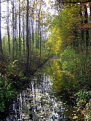 Grand Canal