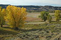 Automne au Montana.