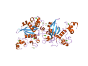 2oo4: Structure of LNR-HD (Negative Regulatory Region) from human Notch 2