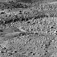 One of the first surface images from Phoenix.