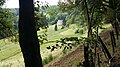 Ferme vosgienne au-dessus du col de Xiard, versant de Thiéfosse.