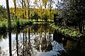 Fischteiche an der Linkens Mühle