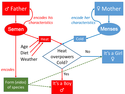 Aristotle's model of inheritance