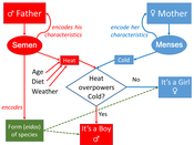 Aristotle's biology, theory of inheritance