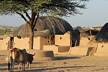 Ein mit sandfarbenen Lehmmauern umgebenes kleines Grundstück in das beidseitig ein Lehmhaus eingebunden ist, wobei vom rechten nur ein knapper Anteil im Bild ist. Das Dach des linken Hauses ist halbkugelförmig und mit Stroh bedeckt. Zwei kurze Holzleitern stehen herum. Vorne links außerhalb der Mauern stehen zwei Rinder vor einem großen Baum. Der Boden ist mit Sand bedeckt und in der Ferne auf der linken Bildseite sind mit Buschwerk bewachsene Sanddünen zu erkennen.