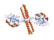 2a45: Crystal structure of the complex between thrombin and the central ""E"" region of fibrin