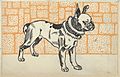 Pitbull Terrier, lithographie (1912)