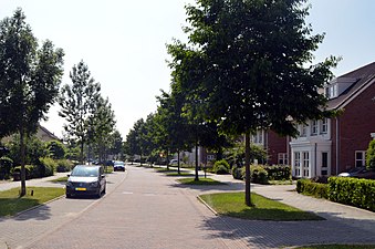 Terracottastraat