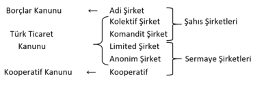 Şirketlerin Sınıflandırılması