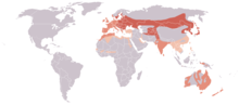 Range of F. atra   Gnezditveno   Vse leto   Prezimitveno