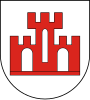 Coat of arms of Gmina Żychlin