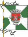 Bandeira de Sabugal