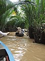 A Mekong-delta