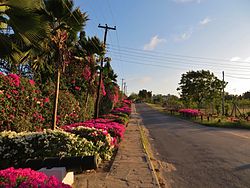 Mount Kenya Road, bording the seaside resorts.