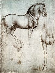 Série de dessins, sur une feuille et au crayon gris, représentant un cheval vu de côté ou de face.